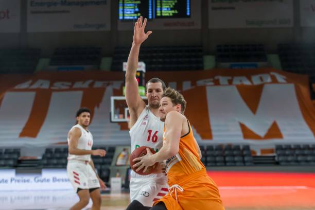 展示多样化 展示多样化